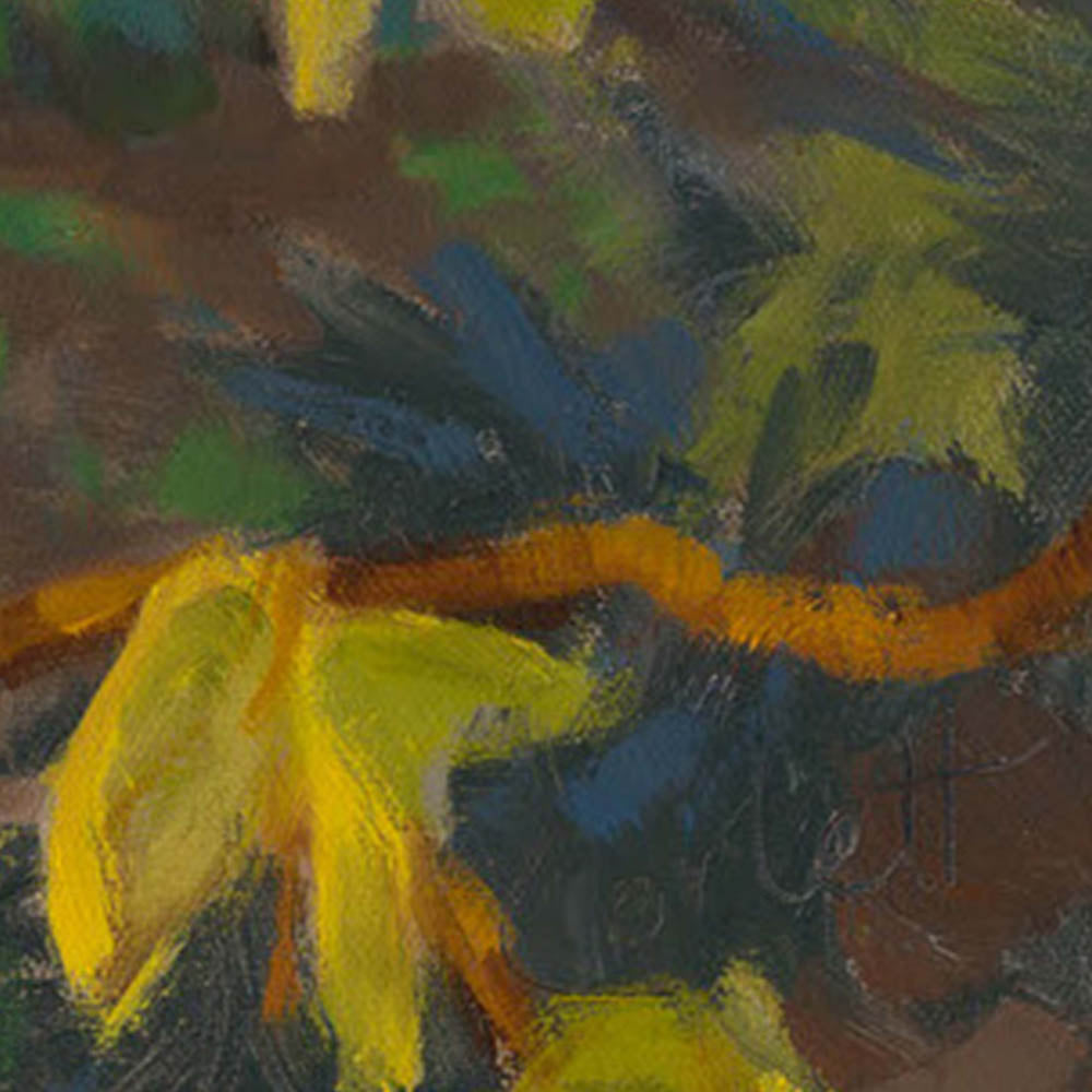 A Distant Hope by Anne Corlett 