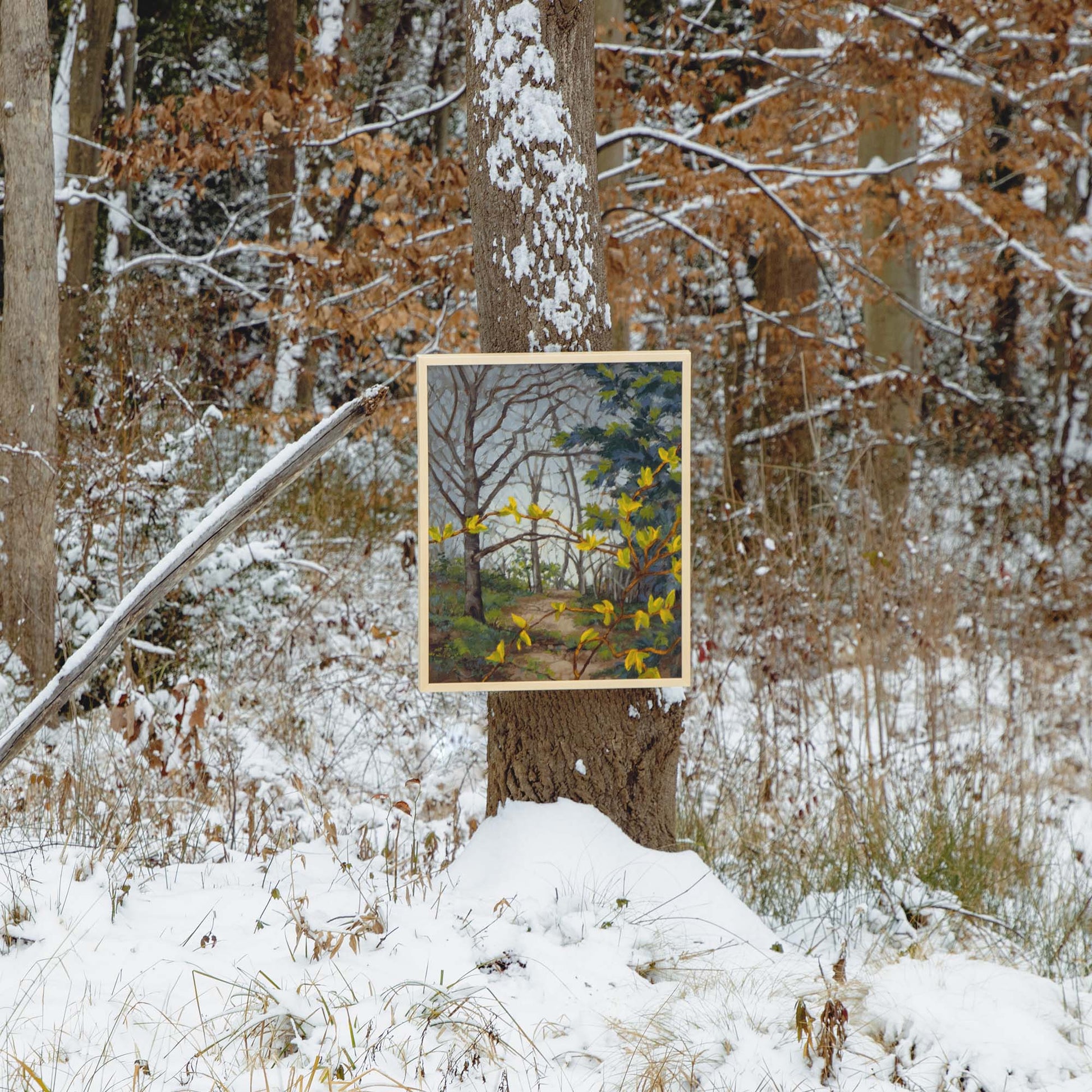 A Distant Hope by Anne Corlett 