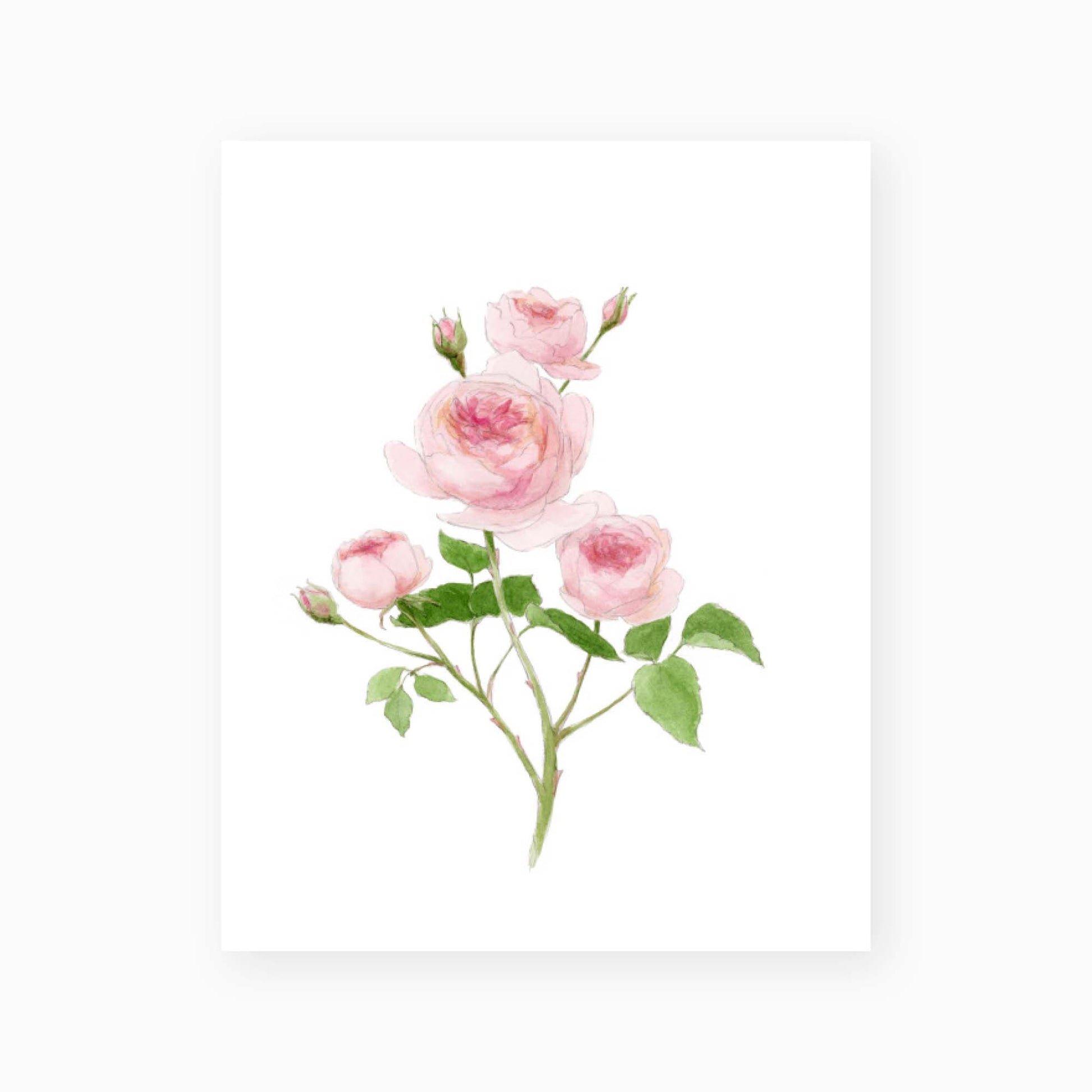 The Rose Art Print 