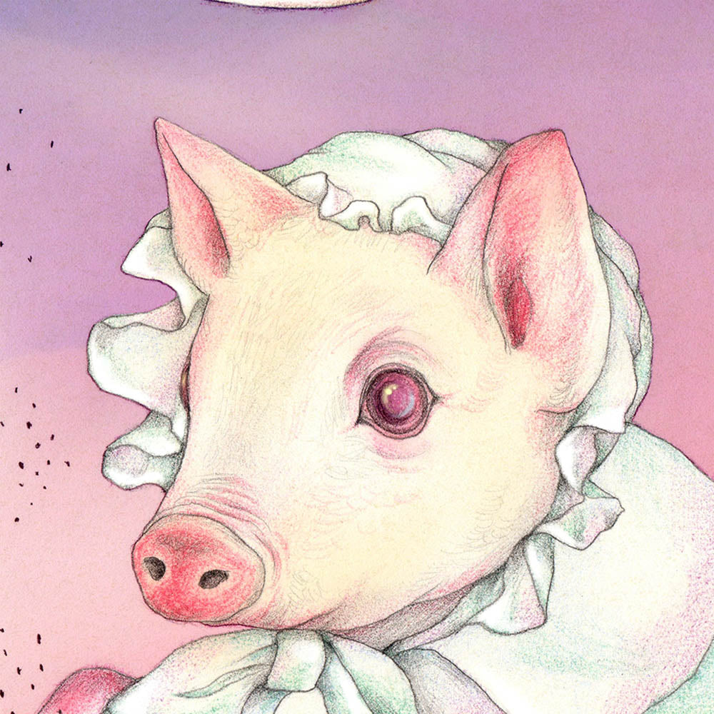 Baby or Pig? by Vicki Ling