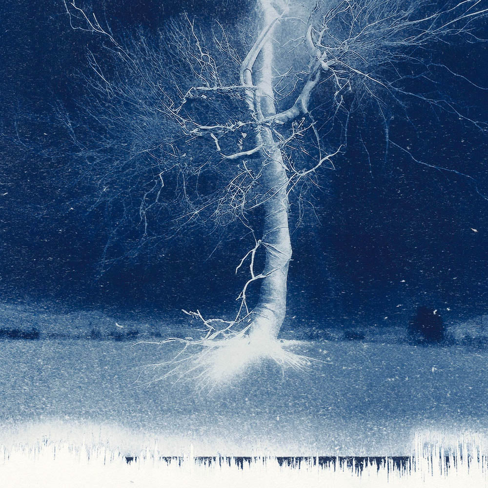Electrified Oak by Sam Gulliver