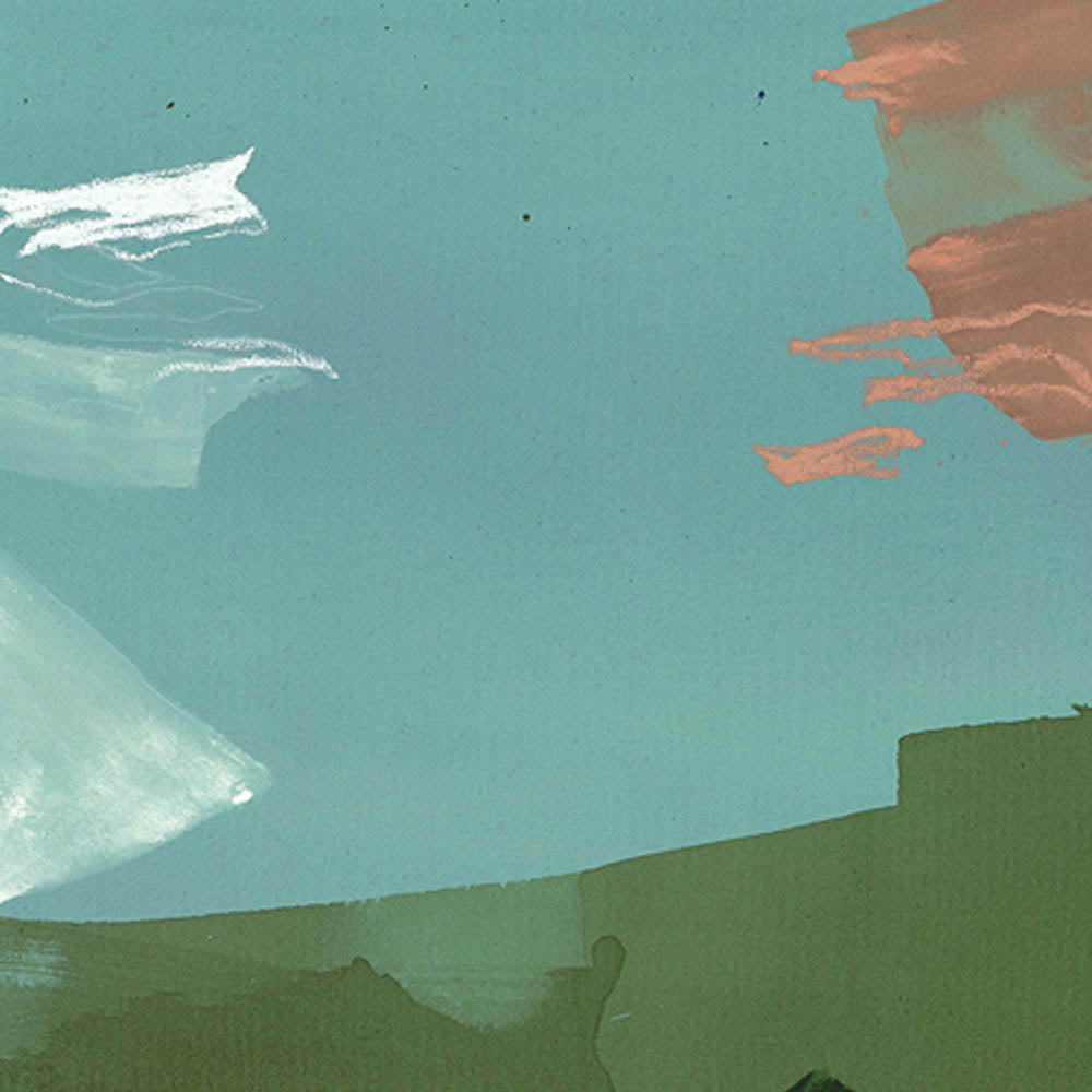 A Fresh Cut by Sheyda Mehrara