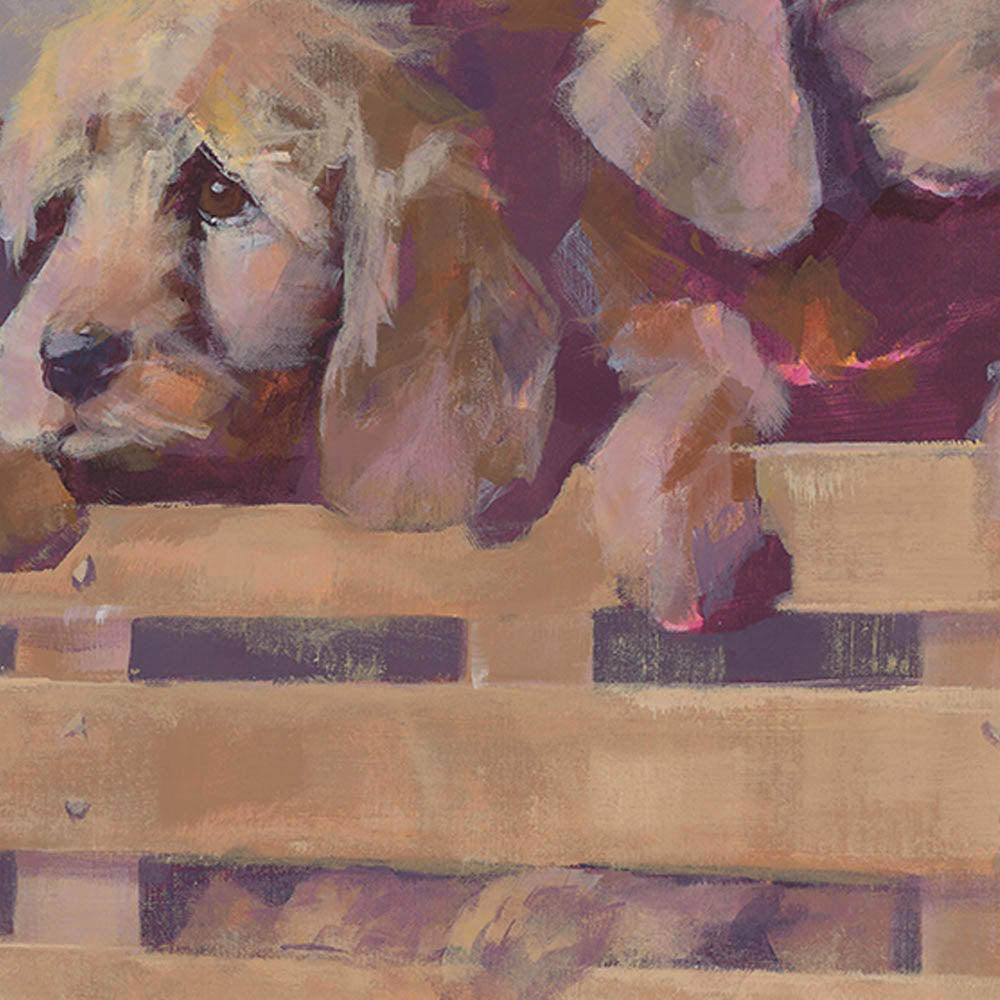 Basket of Puppies by Alicia Hobbs