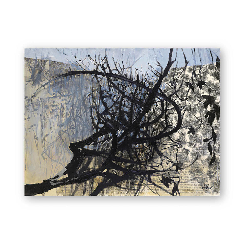 Glimmer of Hope in a Quite Dead Garden by Julia Hacker