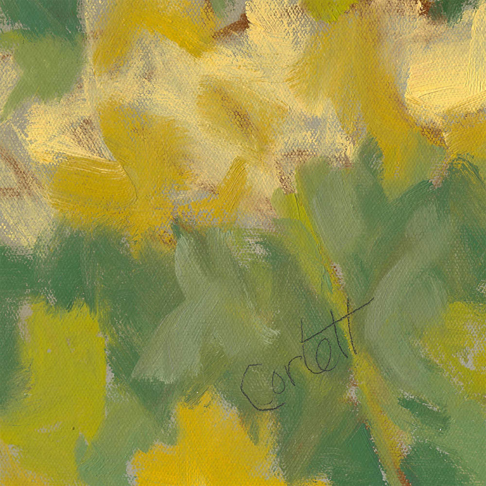 Healing Light by Anne Corlett