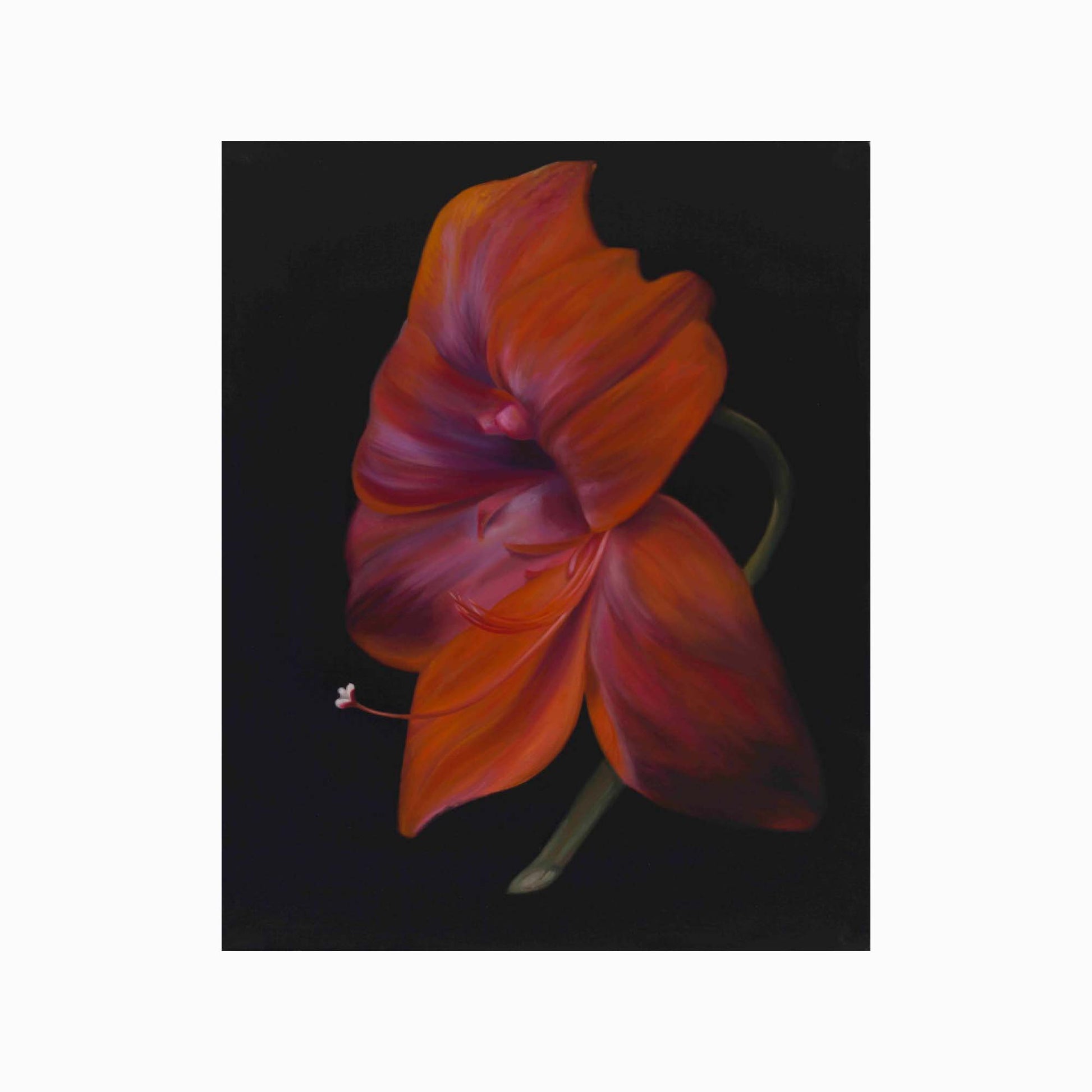 La Belle Dame Art Print
