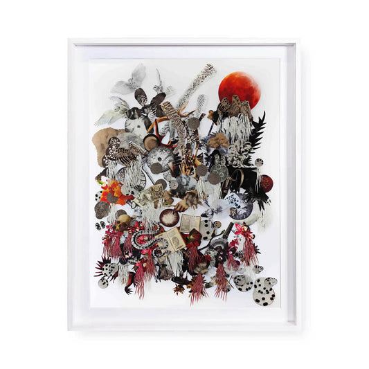 Natural Philosophy / The Alchemists by Barbara Wildenboer