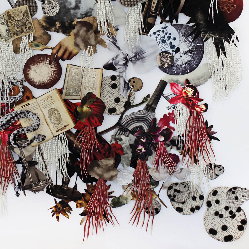 Natural Philosophy / The Alchemists by Barbara Wildenboer