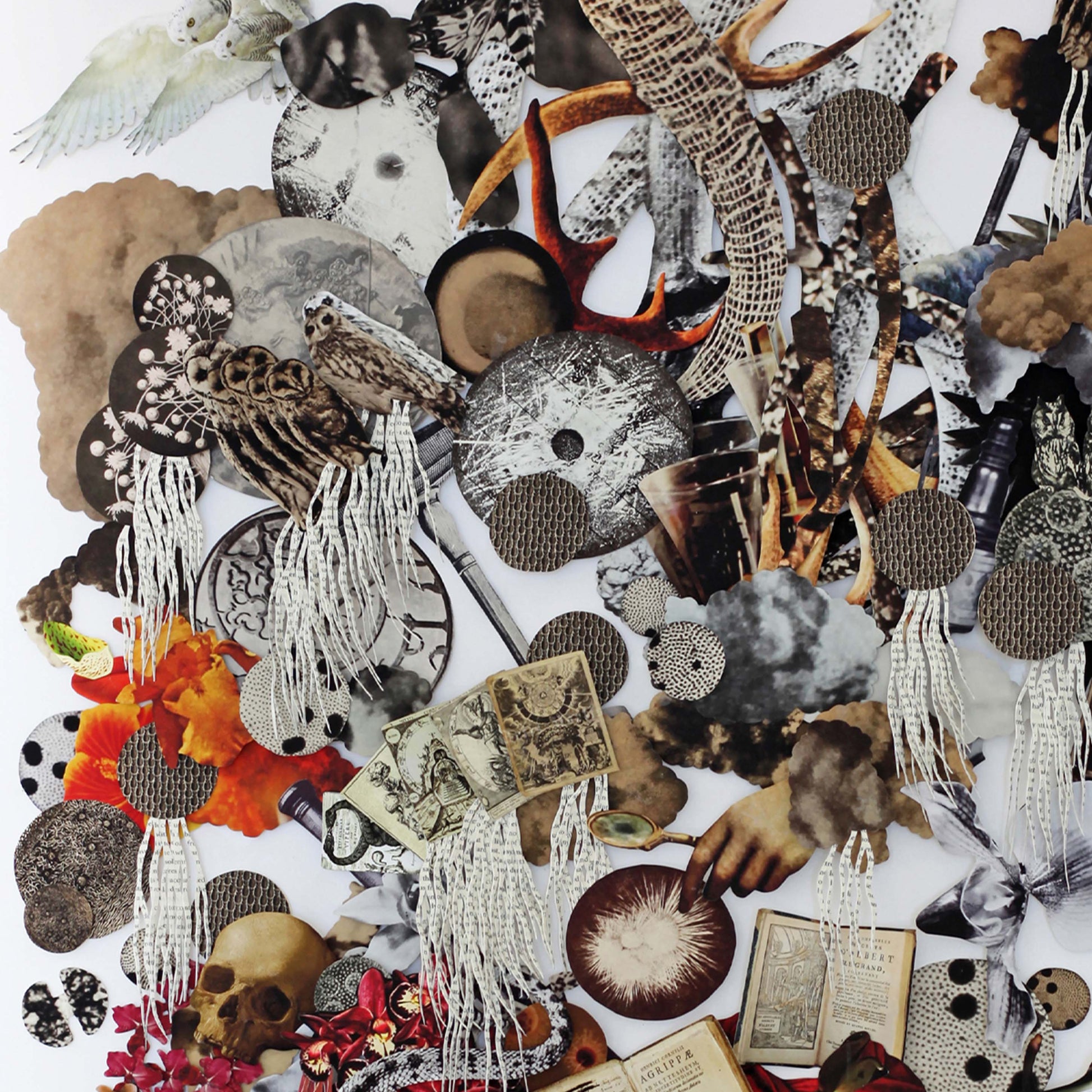 Natural Philosophy TheAlchemist by Barbara Wildenboer