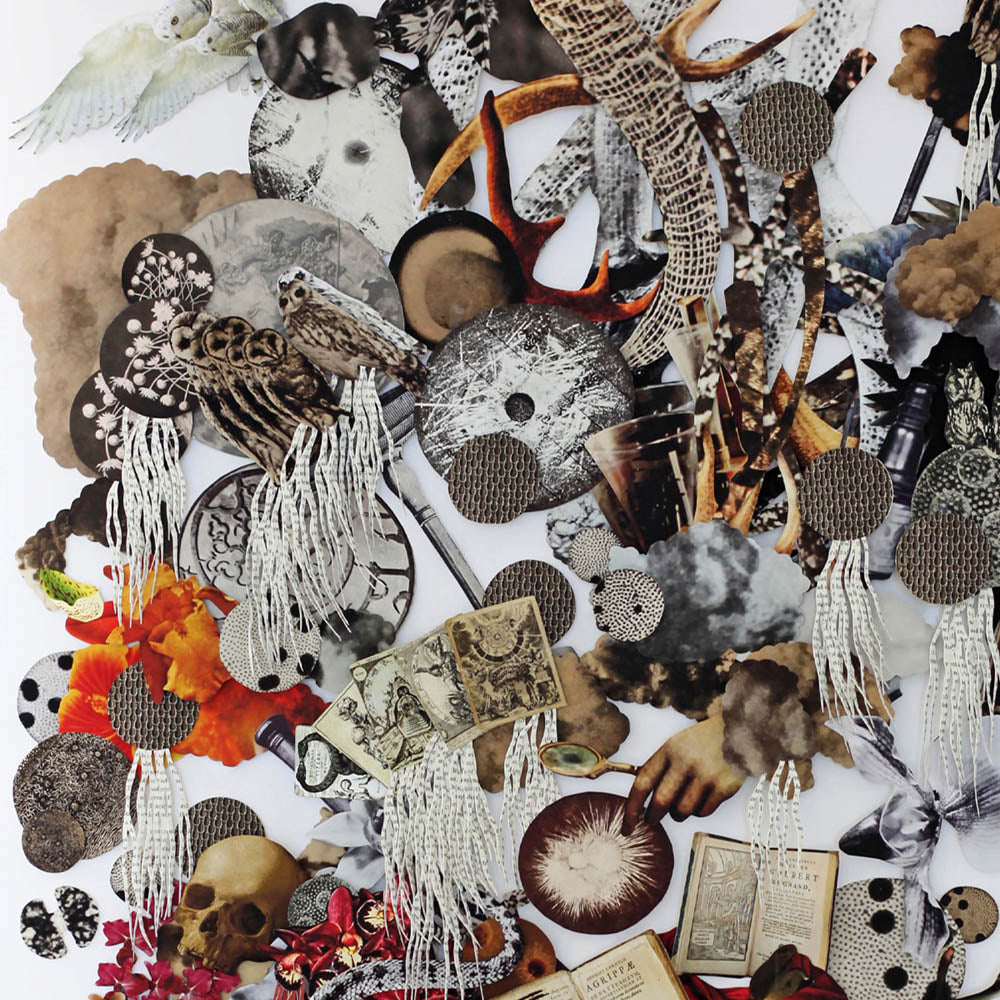 Natural Philosophy / The Alchemists by Barbara Wildenboer
