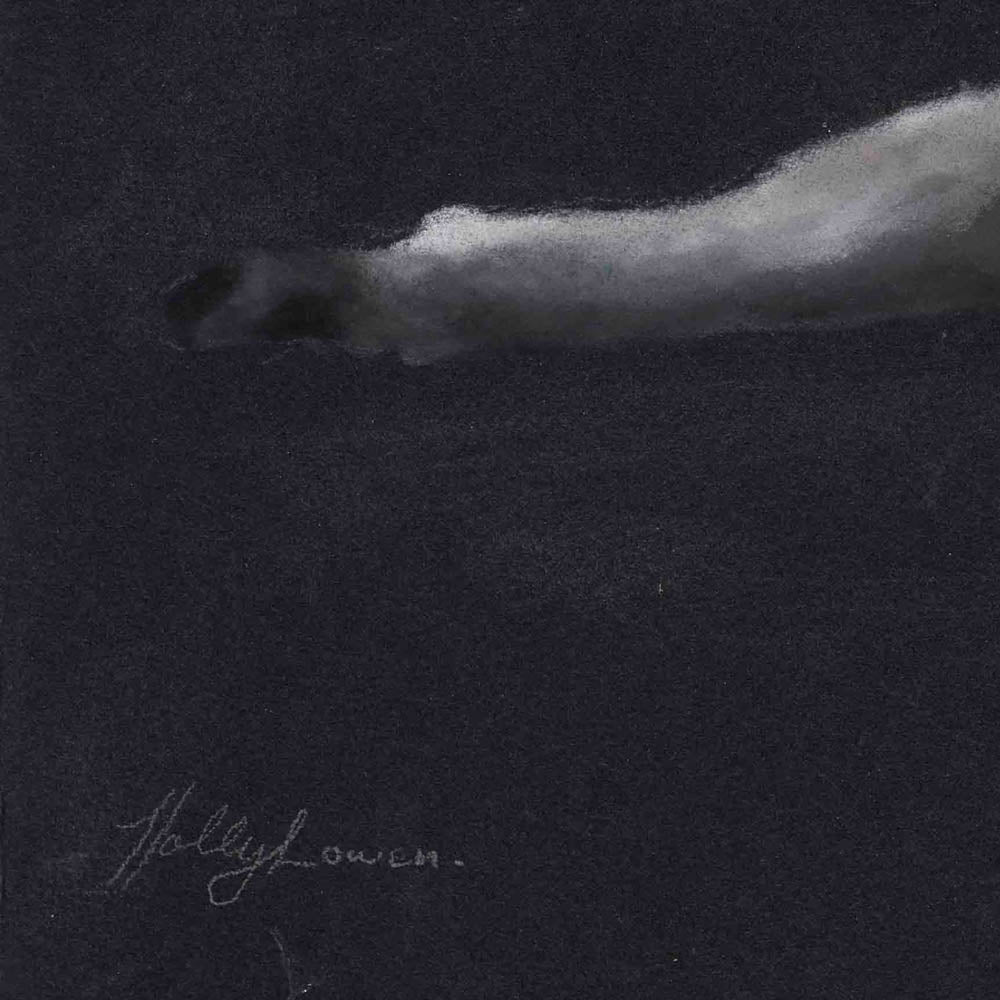 No Birds Sing by Holly Lowen