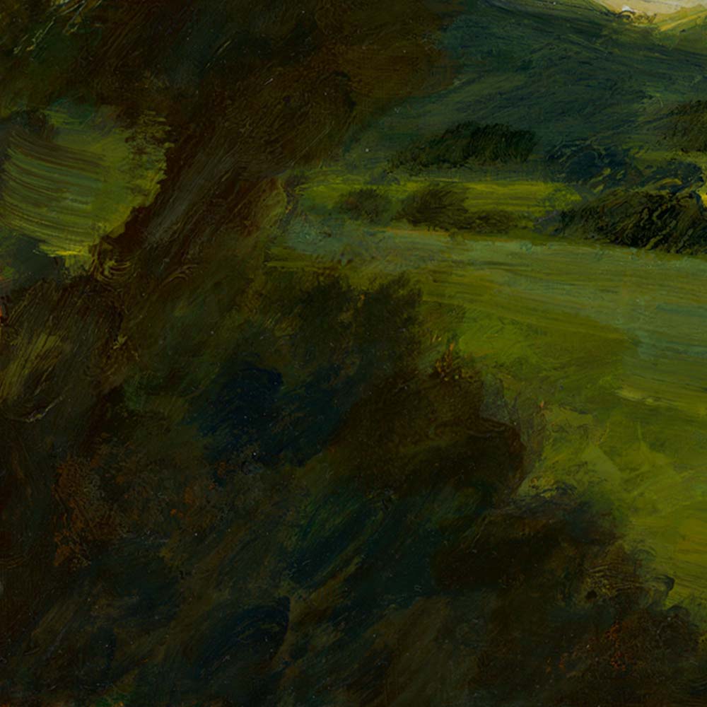 Crossing Field After Field by Tereza Horacek