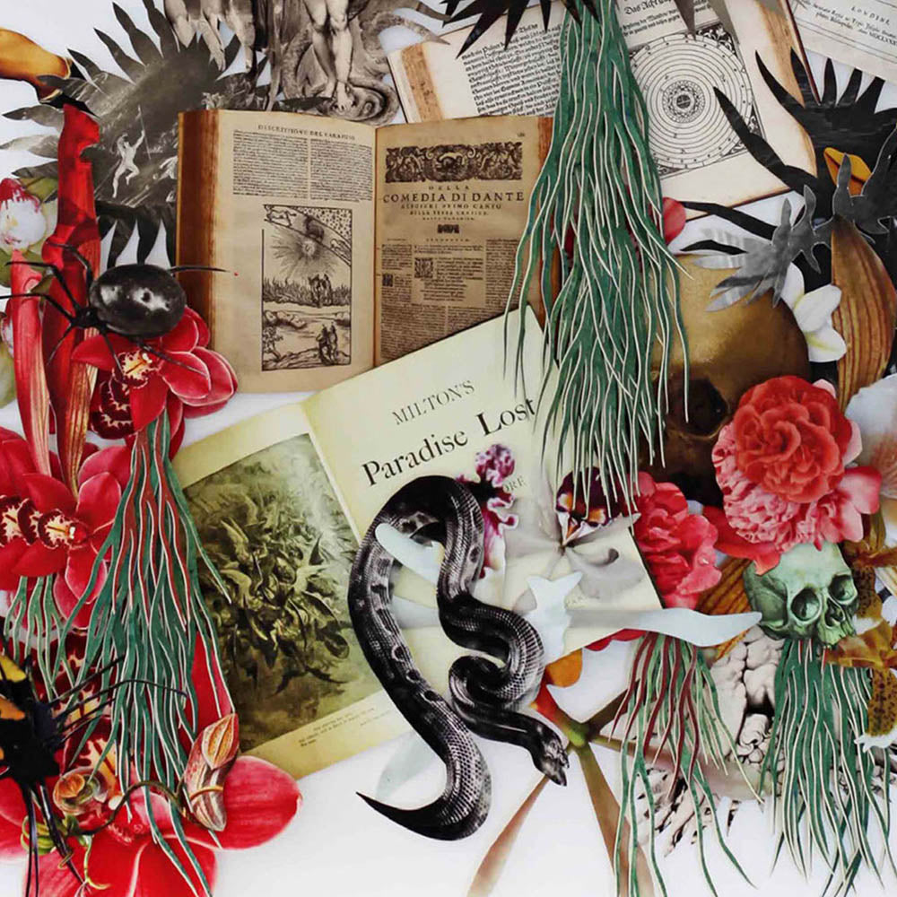 Paradise Lost by Barbara Wildenboer