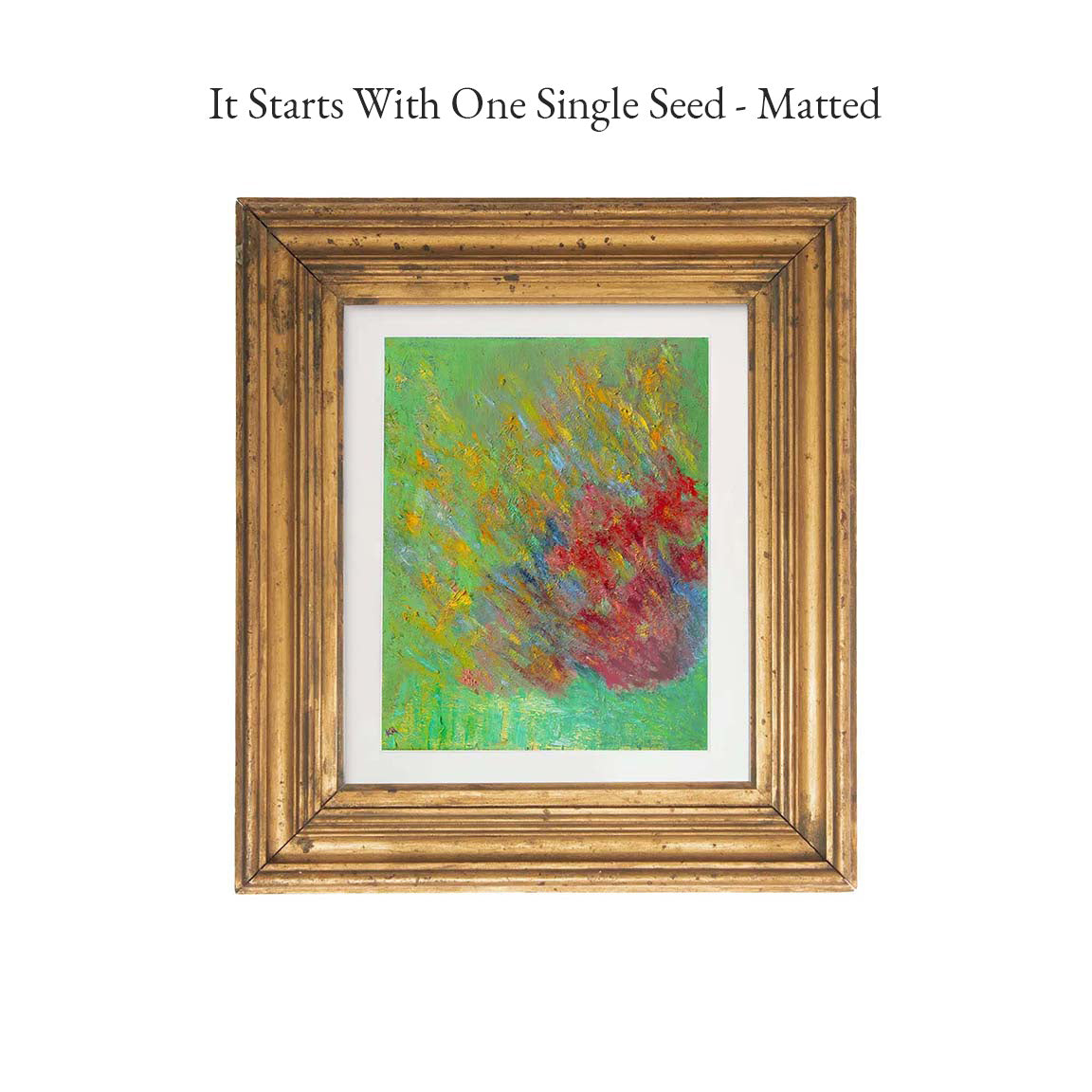 It Starts With One Single Seed - Matted