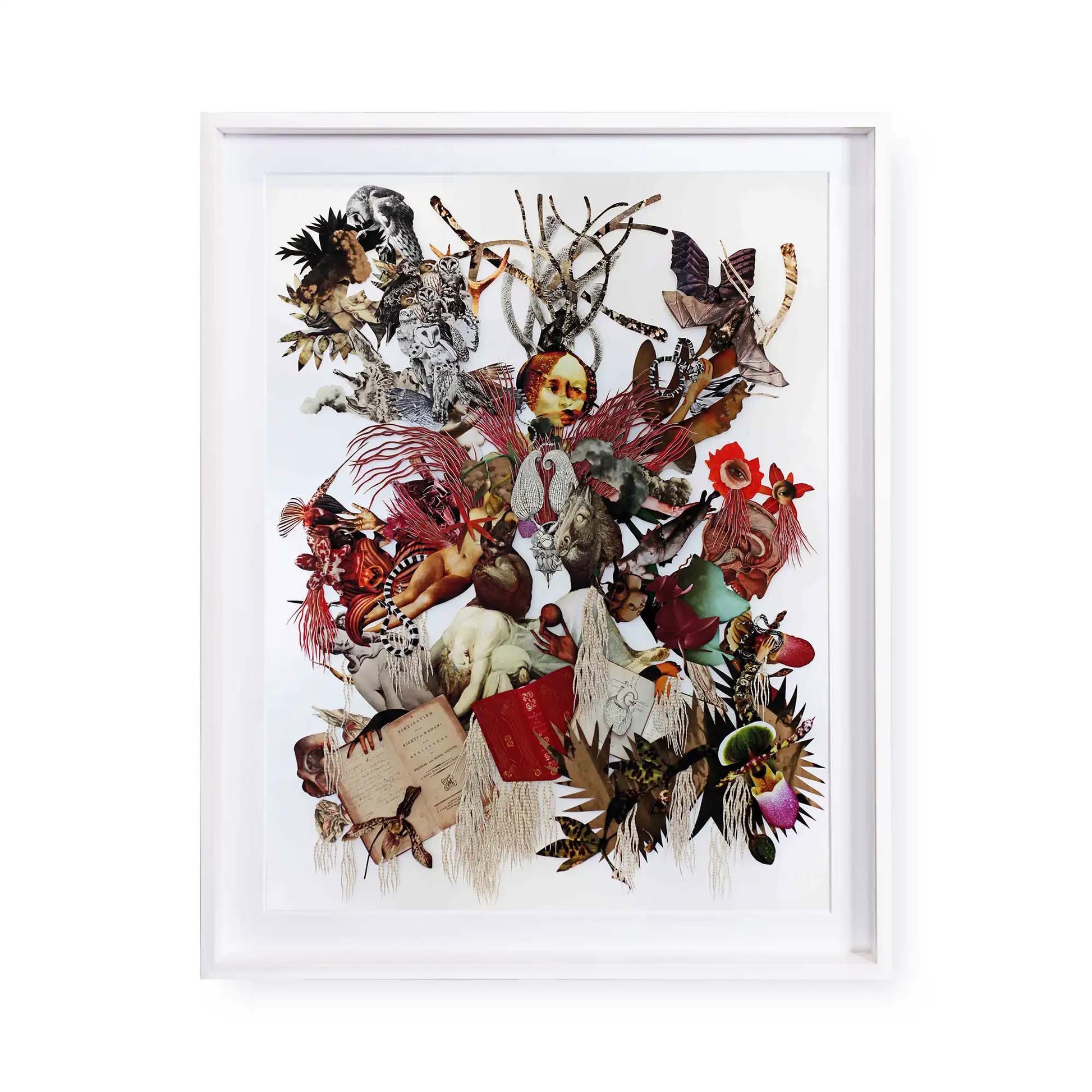 The Creation of the Female Creature by Barbara Wildenboer