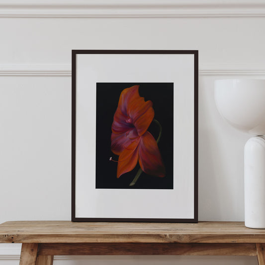 La Belle Dame Art Print